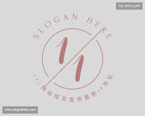 发现17c网站域名查询最新ip地址入口